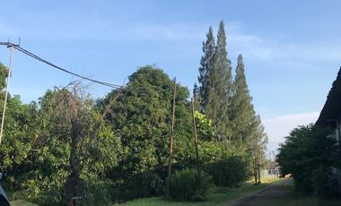 Dijual Cepat Pabrik Mekarsari Tangerang