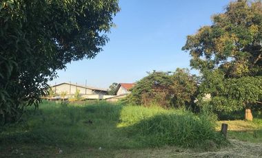 Dijual Cepat Pabrik Mekarsari Tangerang