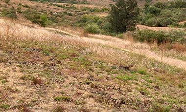 Terreno en venta con facilidades de pago - (3)