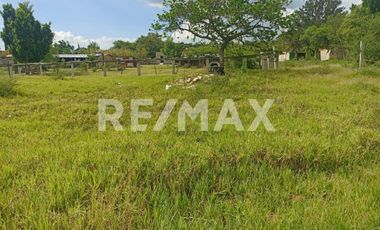 Terreno en Santo Domingo Barrio Bajo Etla - (3)