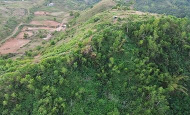 Tanah murah dekat Circuit motogp Kuta Mandalika Lombok.