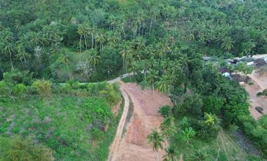 Tanah murah dekat Circuit motogp Kuta Mandalika Lombok.