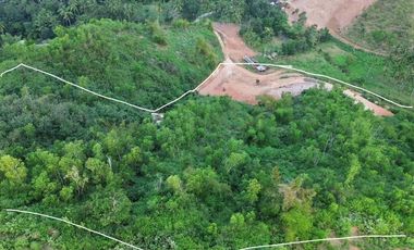 Tanah murah dekat Circuit motogp Kuta Mandalika Lombok.