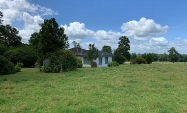 Paillaco, campo frutícola y ganadero