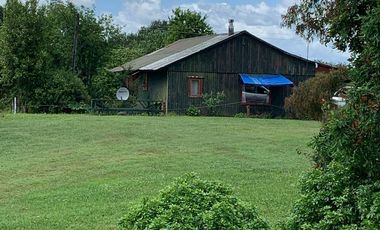 Paillaco, campo frutícola y ganadero