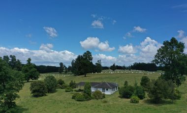 Paillaco, campo frutícola y ganadero