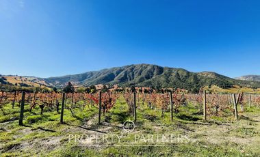 Exclusivos Terrenos en Pircas de Apalta