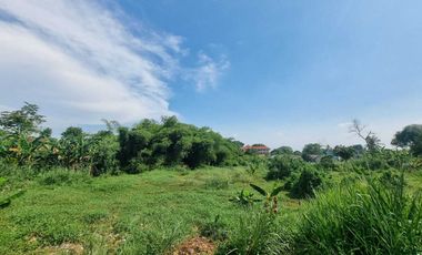 Tanah Bagus Cocok Buat Sekolah / Pesantren / Gedung Nikah / Perumahan