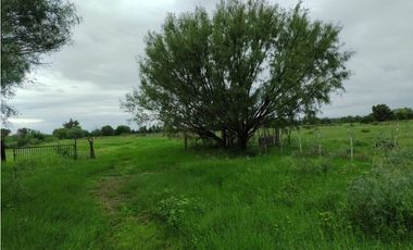 TERRENO EN VENTA LA ARENA PESQUERIA
