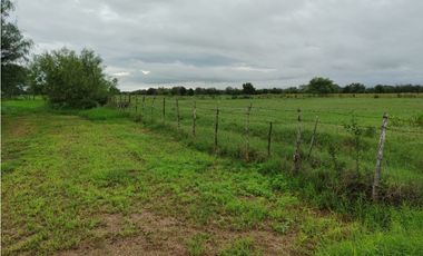 TERRENO EN VENTA LA ARENA PESQUERIA