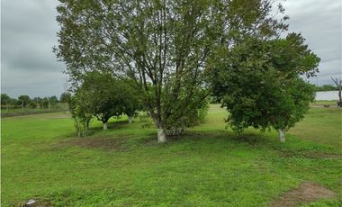 TERRENO EN VENTA LA ARENA PESQUERIA