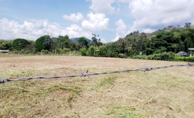 LOTE EN VENTA EN COMBIA/PEREIRA