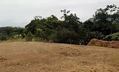 LOTE EN VENTA EN COMBIA/PEREIRA