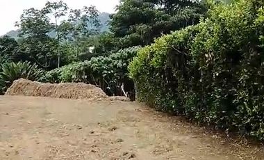 LOTE EN VENTA EN COMBIA/PEREIRA