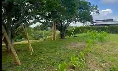 LOTE EN VENTA VIA ALCALA/VALLE DEL CAUCA