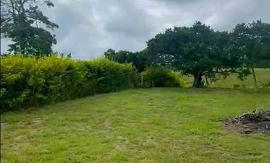 LOTE EN VENTA VIA ALCALA/VALLE DEL CAUCA