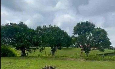 LOTE EN VENTA VIA ALCALA/VALLE DEL CAUCA