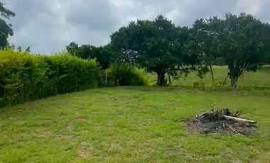 LOTE EN VENTA VIA ALCALA/VALLE DEL CAUCA