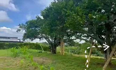 LOTE EN VENTA VIA ALCALA/VALLE DEL CAUCA