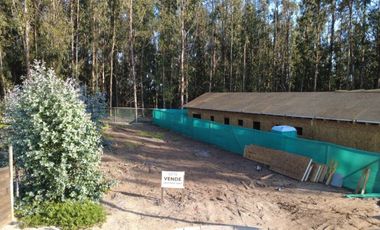 BOSQUES I, COSTA QUILEN