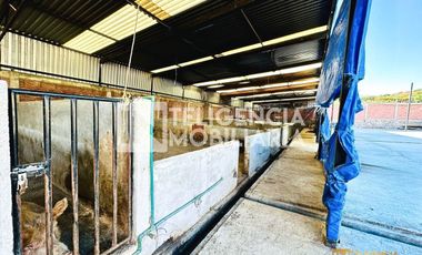 RANCHO EN VENTA UBICADO EN TEPETLAOXTOC