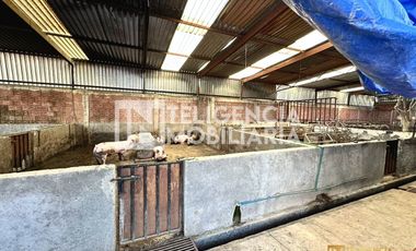 RANCHO EN VENTA UBICADO EN TEPETLAOXTOC