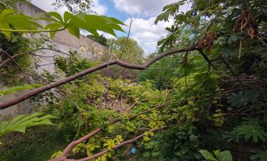 Lote /Terreno de 300 m2 UbicaciÃ³n!!!