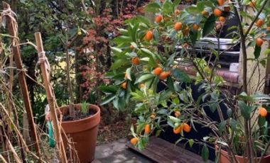 Triplex de categoria en condominio