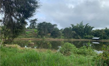 LA CUMBRE Las Violetas  La Ventura AGUA LOTES CAMPESTRES $70,000 M2