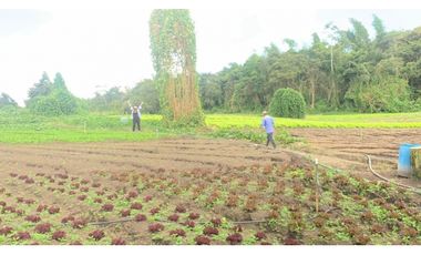 LA CUMBRE Las Violetas  La Ventura AGUA LOTES CAMPESTRES $70,000 M2