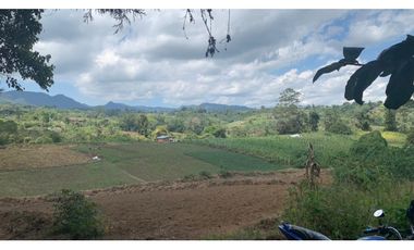 LA CUMBRE Las Violetas  La Ventura AGUA LOTES CAMPESTRES $70,000 M2