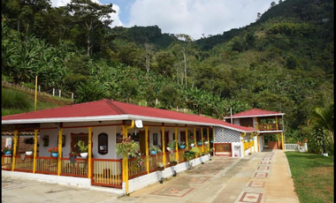 QUINDIO EJE CAFETERO BUENA VISTA CERCA A CAICEDONIA PANACA ARMENIA