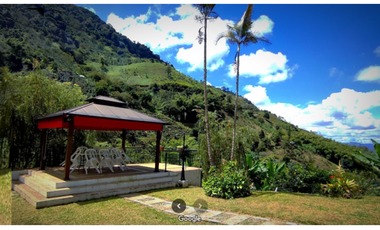 QUINDIO EJE CAFETERO BUENA VISTA CERCA A CAICEDONIA PANACA ARMENIA