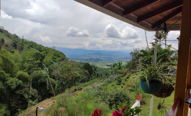 QUINDIO EJE CAFETERO BUENA VISTA CERCA A CAICEDONIA PANACA ARMENIA