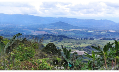 QUINDIO EJE CAFETERO BUENA VISTA CERCA A CAICEDONIA PANACA ARMENIA