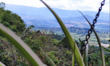 QUINDIO EJE CAFETERO BUENA VISTA CERCA A CAICEDONIA PANACA ARMENIA