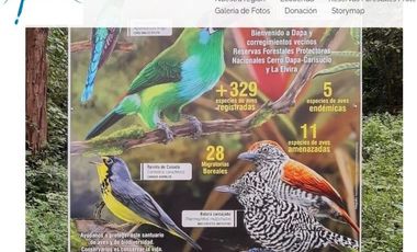 DAPA GRAN FINCA EN DAPA GANADO CABALLOS 32250 M2 US$ 970,000 DÓLARES