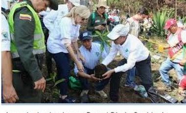 DAPA GRAN FINCA EN DAPA GANADO CABALLOS 32250 M2 US$ 970,000 DÓLARES