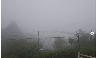 DAPA GRAN FINCA EN DAPA GANADO CABALLOS 32250 M2 US$ 970,000 DÓLARES