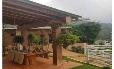 DAPA GRAN FINCA EN DAPA GANADO CABALLOS 32250 M2 US$ 970,000 DÓLARES
