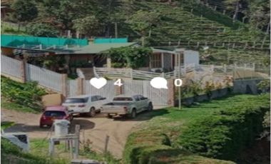 DAPA GRAN FINCA EN DAPA GANADO CABALLOS 32250 M2 US$ 970,000 DÓLARES