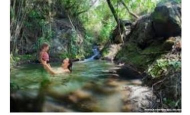 DAPA GRAN FINCA EN DAPA GANADO CABALLOS 32250 M2 US$ 970,000 DÓLARES