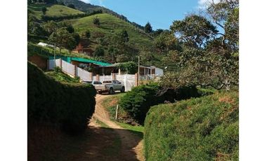 DAPA GRAN FINCA EN DAPA GANADO CABALLOS 32250 M2 US$ 970,000 DÓLARES