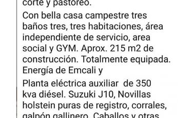 DAPA GRAN FINCA EN DAPA GANADO CABALLOS 32250 M2 US$ 970,000 DÓLARES