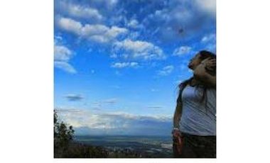 DAPA GRAN FINCA EN DAPA GANADO CABALLOS 32250 M2 US$ 970,000 DÓLARES