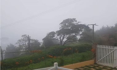 DAPA GRAN FINCA EN DAPA GANADO CABALLOS 32250 M2 US$ 970,000 DÓLARES