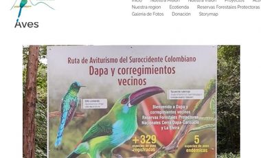 DAPA GRAN FINCA EN DAPA GANADO CABALLOS 32250 M2 US$ 970,000 DÓLARES