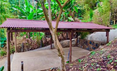 DAPA  en dapa LA MEJOR FINCA DAPA CALI vista panorámica bosque nativo