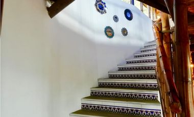 DAPA  en dapa LA MEJOR FINCA DAPA CALI vista panorámica bosque nativo