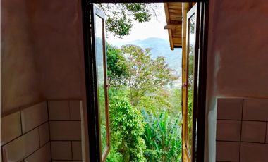 DAPA  en dapa LA MEJOR FINCA DAPA CALI vista panorámica bosque nativo